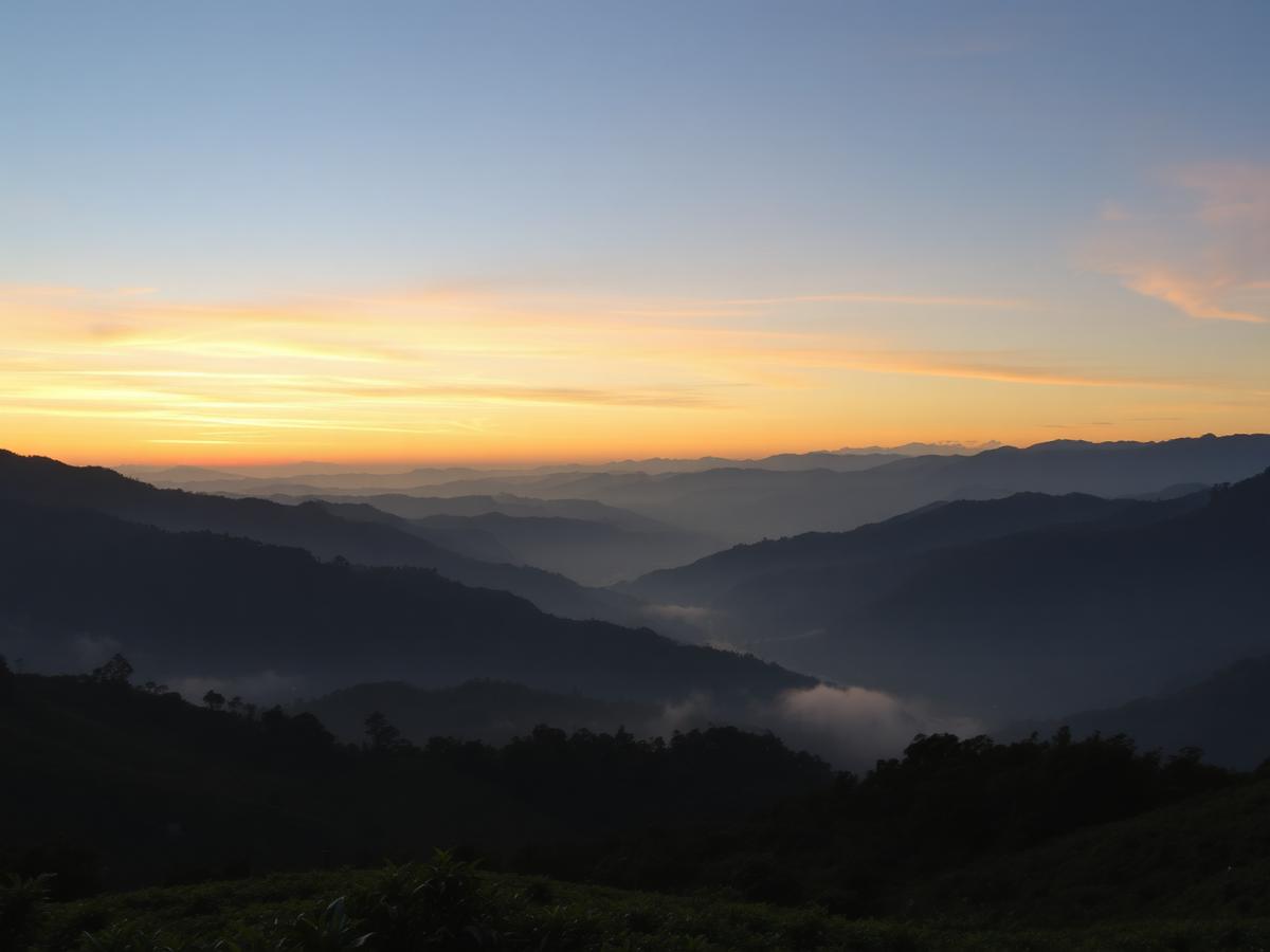 Valle andino al amanecer visto desde la finca